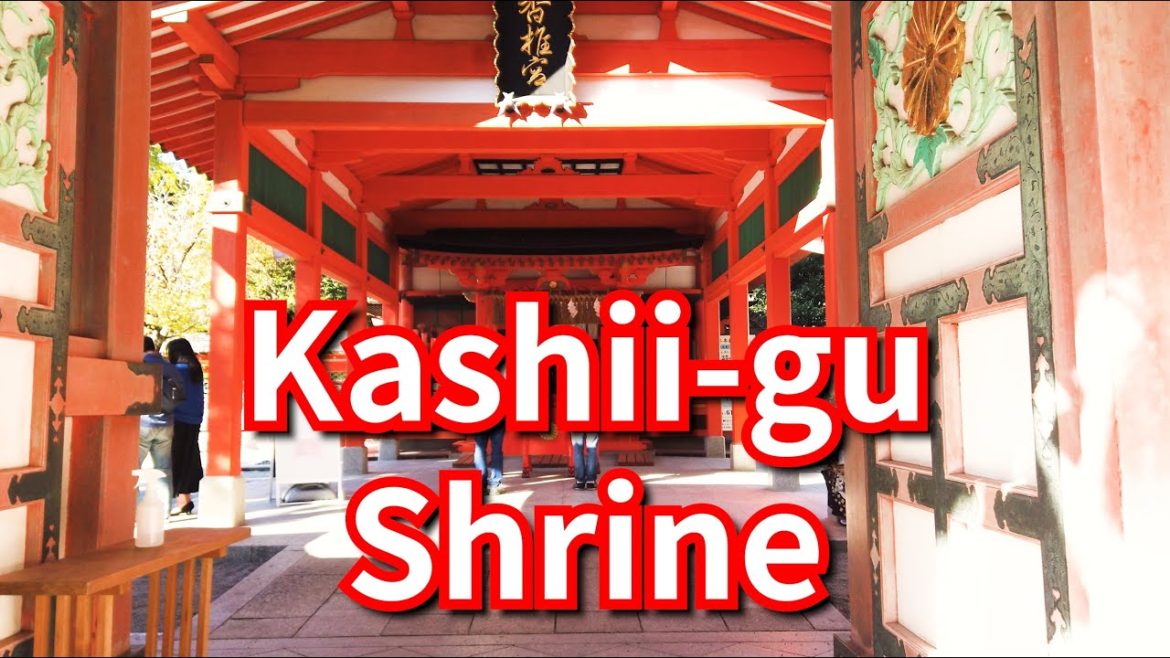 [4K] Walk in Kashii-gu - Beautiful Vermilion Shrine【Japanese Shinto Shrine Tour #5】