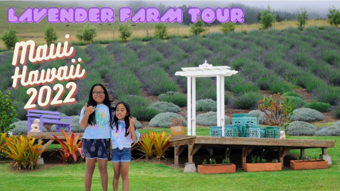 Maui Hawaii 2022/ Lavender Farm Tour