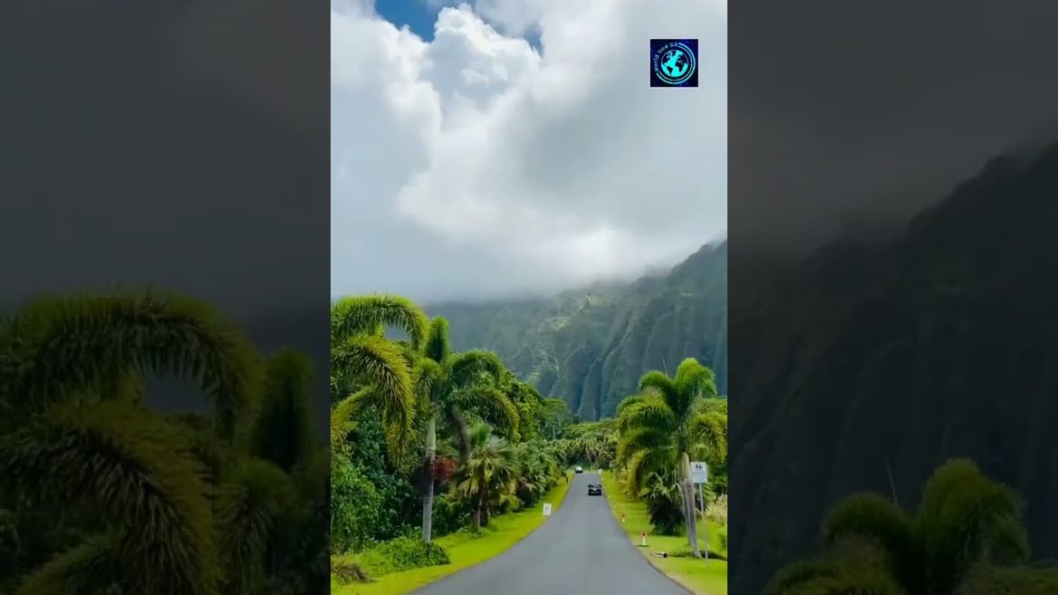 𝑯𝒐𝒐𝒎𝒂𝒍𝒖𝒉𝒊𝒂 𝒃𝒐𝒕𝒂𝒏𝒊𝒄𝒂𝒍 𝒈𝒂𝒓𝒅𝒆𝒏 | 𝒉𝒂𝒘𝒂𝒊𝒊, 𝑼𝑺𝑨 🇺🇸 𝑯𝒐𝒐𝒎𝒂𝒍𝒖𝒉𝒊𝒂 𝒃𝒐𝒕𝒂𝒏𝒊𝒄𝒂𝒍 𝒈𝒂𝒓𝒅𝒆𝒏 | 𝒉𝒂𝒘𝒂𝒊𝒊, 𝑼𝑺𝑨 🇺🇸