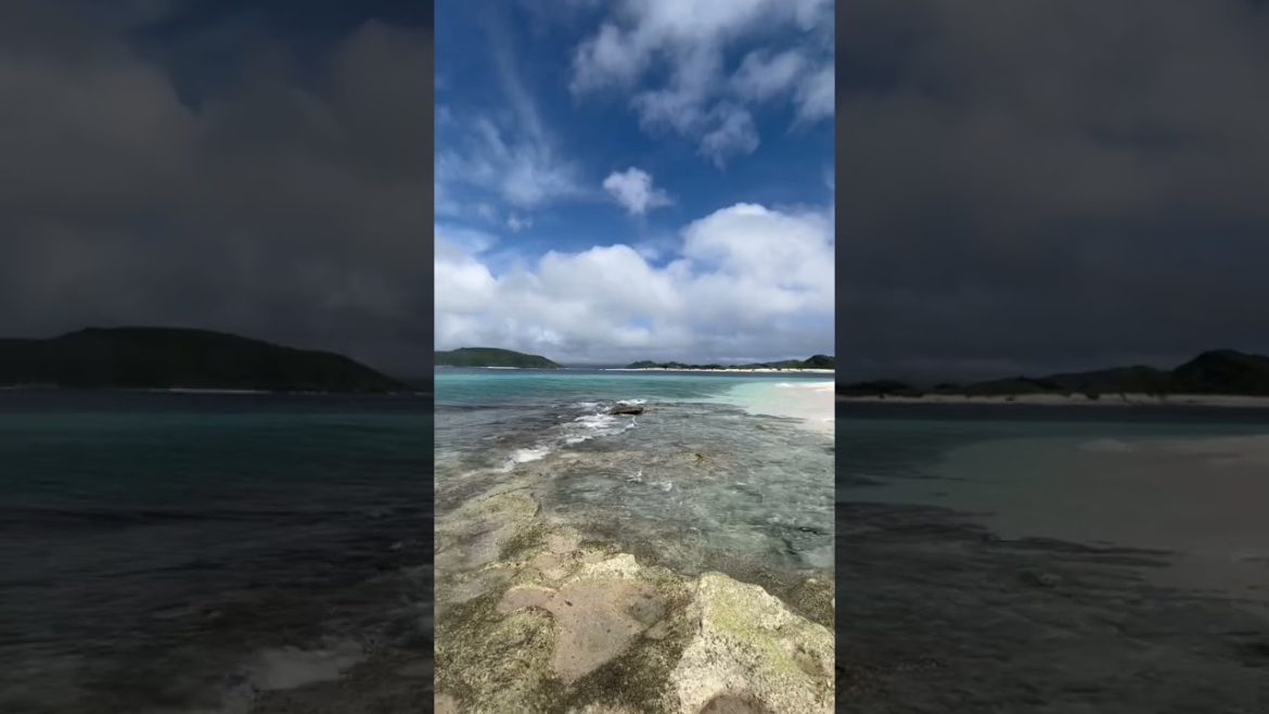 Visual Diary: A moment of chaos and order #shorts #japan #okinawa