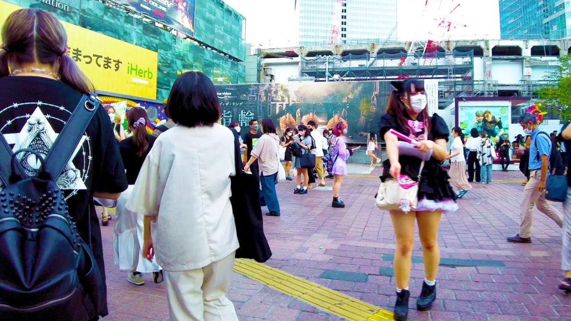 Shibuya in Tokyo is a stylish cityโช๐4K ASMR non-stop 1 hour 02 minutes Shibuya in Tokyo is a stylish cityโช๐4K ASMR non-stop 1 hour 02 minutes