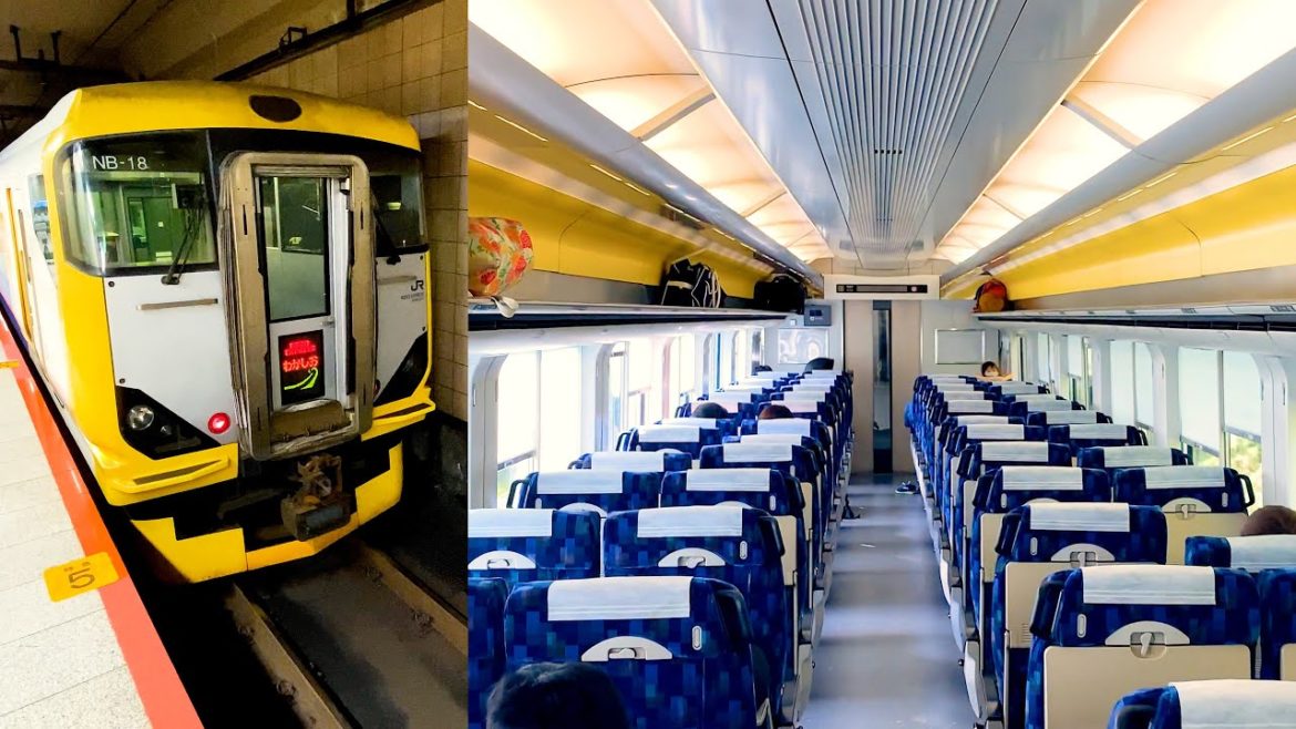 4K Riding on Japan’s express train / Tokyo→Beautiful beaches 🚆