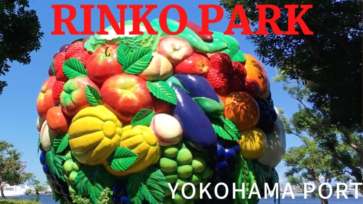 place to visit japan |rinko park | beach |tokyo sightsee|kawasaki trip|food and travel vlogs