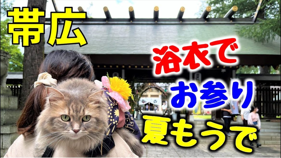 エゾリスに出会える!魅力たっぷりの帯廣神社に猫とお参り♪【十勝車中泊の旅part3】 エゾリスに出会える!魅力たっぷりの帯廣神社に猫とお参り♪【十勝車中泊の旅part3】