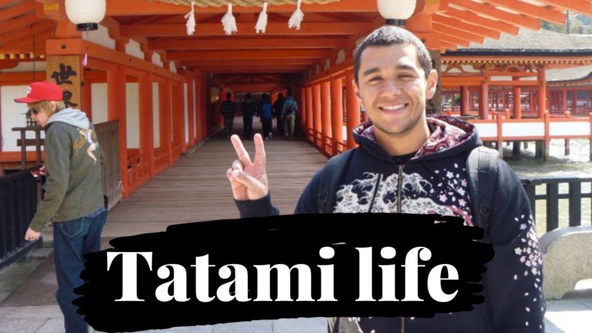 Channel intro! Channel intro!