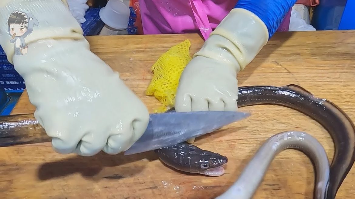 street food asmr food fish cutting korean food asian seafood korea sashimi making video 170822 03 street food asmr food fish cutting korean food asian seafood korea sashimi making video 170822 03