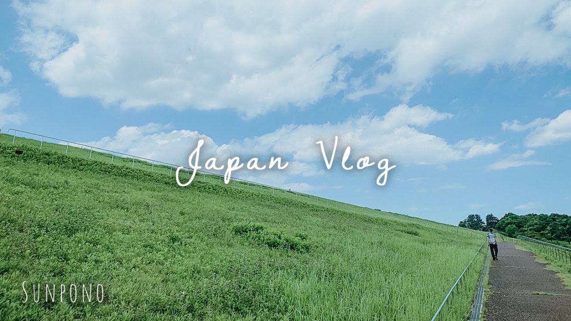 Sayama. “My Neighbor TOTORO” Ghibli film's setting | Japan Travel Vlog | 4K | Photography Sayama. “My Neighbor TOTORO” Ghibli film's setting | Japan Travel Vlog | 4K | Photography