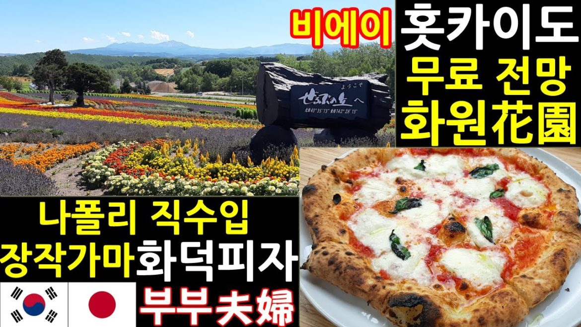 한일부부의 일본여행 브이로그 l 홋카이도 후라노 비에이 대표 관광지 l 이탈리아 나폴리 정통 피자 맛집 마리게리타 l 후라노 치즈공방 l 제루부노오카