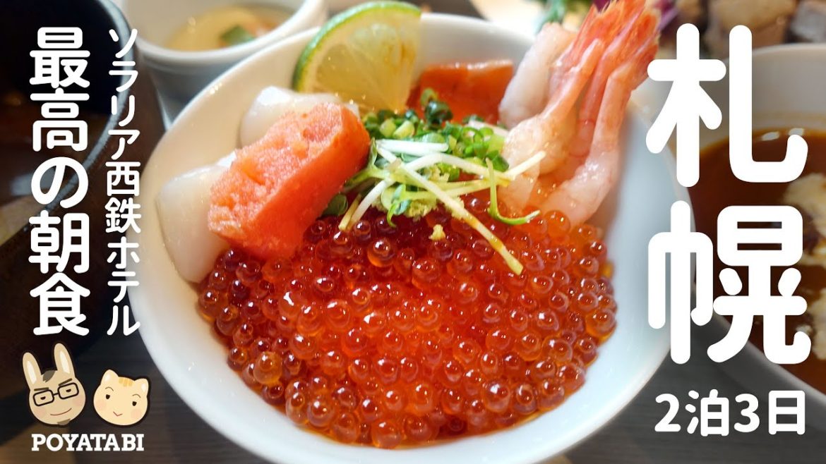 【北海道|札幌】朝食が美味しくて立地の良いホテル!ソラリア西鉄ホテル札幌/ハリウッドツイン/バス・トイレ別【ぽや旅】#hokkaido #Travel #Vlog #ホテルレビュー 【北海道|札幌】朝食が美味しくて立地の良いホテル!ソラリア西鉄ホテル札幌/ハリウッドツイン/バス・トイレ別【ぽや旅】#hokkaido #Travel #Vlog #ホテルレビュー