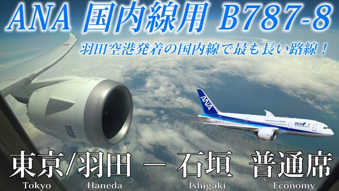 【羽田空港発着で最長の国内線！】ANA 国内線用B787-8 (78P)普通席 東京/羽田−石垣線 搭乗記