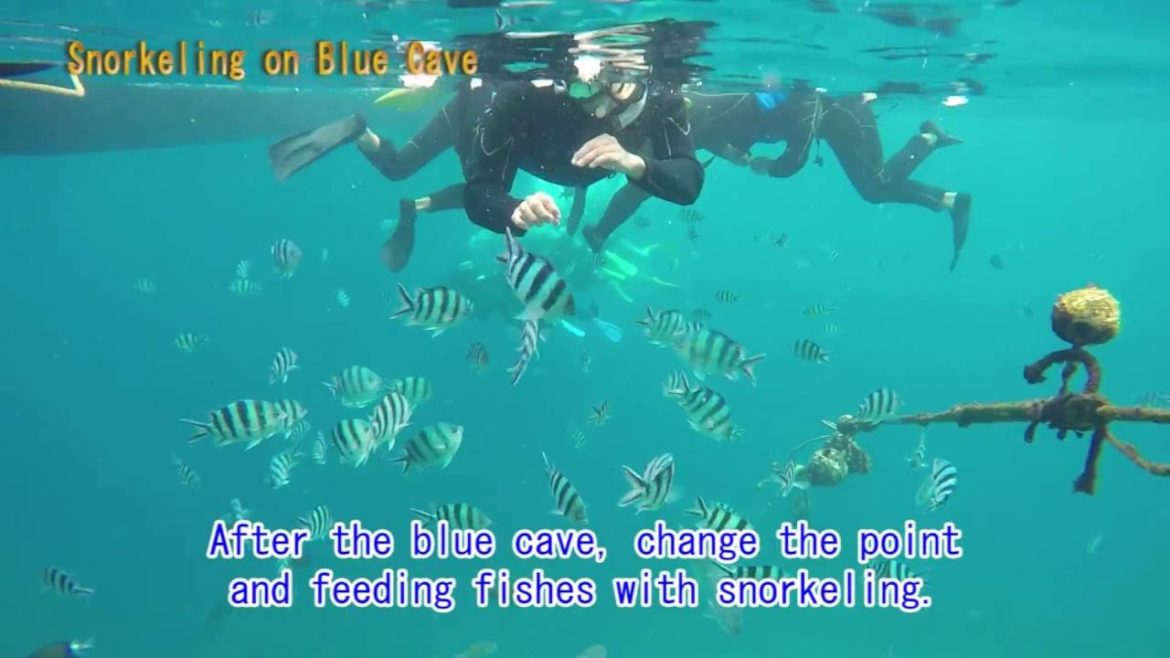 Blue Cave & cute tropical fish snorkeling tour Blue Cave & cute tropical fish snorkeling tour