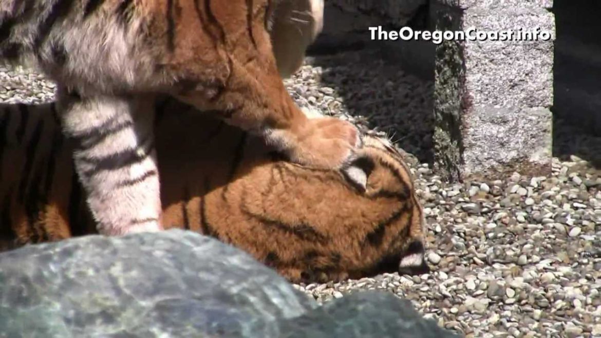 West Coast Game Park West Coast Game Park