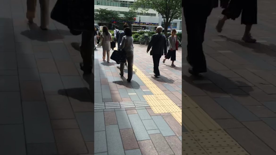 Touring Japan - Travelling in Japan - One Piece Tower, Japan Street Food, Tokyo Museum