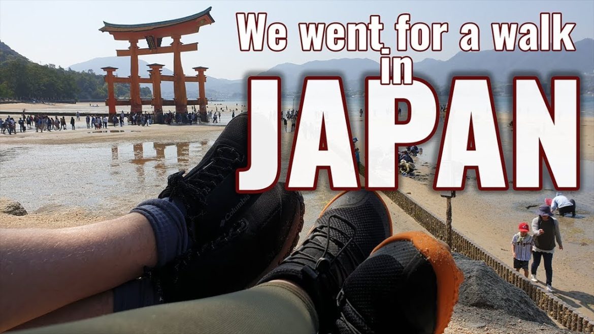We went for a walk...in JAPAN! | Japan walk | Vagabond Turtle