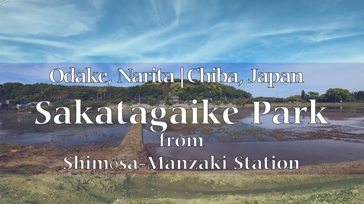Vignette Abroad – Sakatagaike Park | Odake, Narita, Chiba, Japan Vignette Abroad - Sakatagaike Park | Odake, Narita, Chiba, Japan