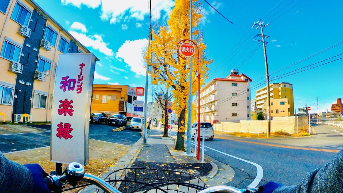 【4K】Japan Cycling Tour - Bike Ride Through Japanese Neighborhood (Moriyama Ward, Nagoya)