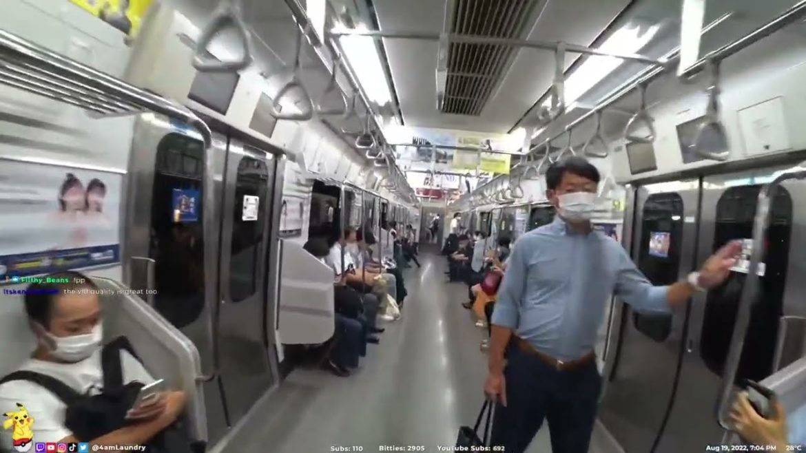 Tokyo, Japan IRL - Train Tour