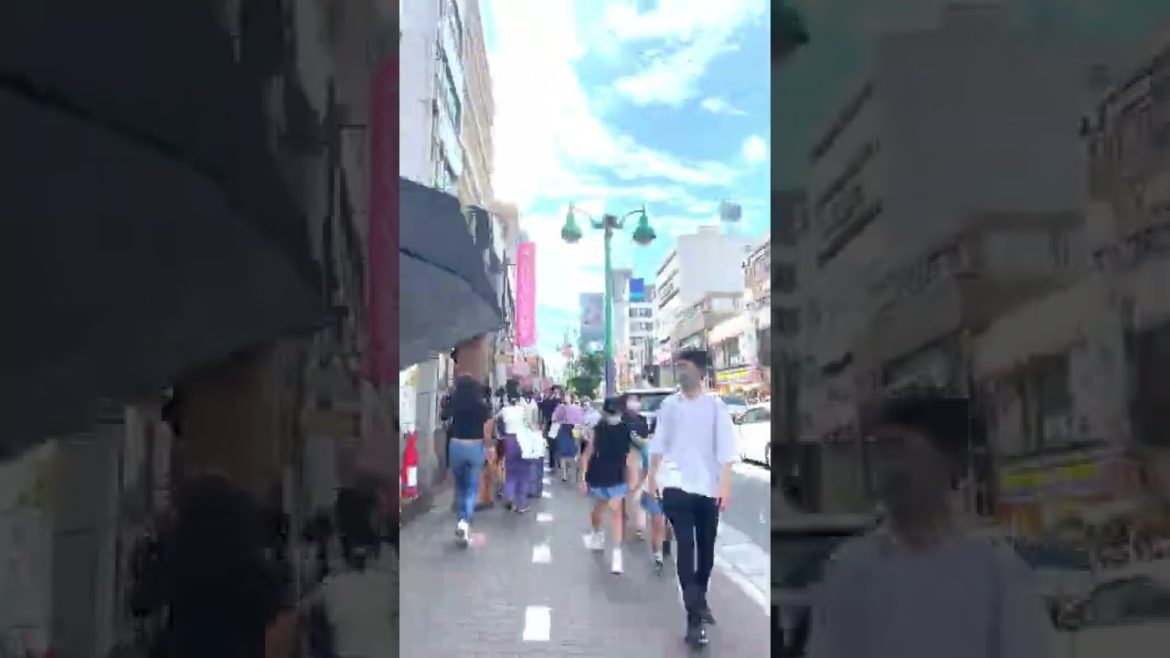 The full story is in the comments section🌸// #walking #shinokubo #tokyo #japan #shorts The full story is in the comments section🌸// #walking #shinokubo #tokyo #japan #shorts