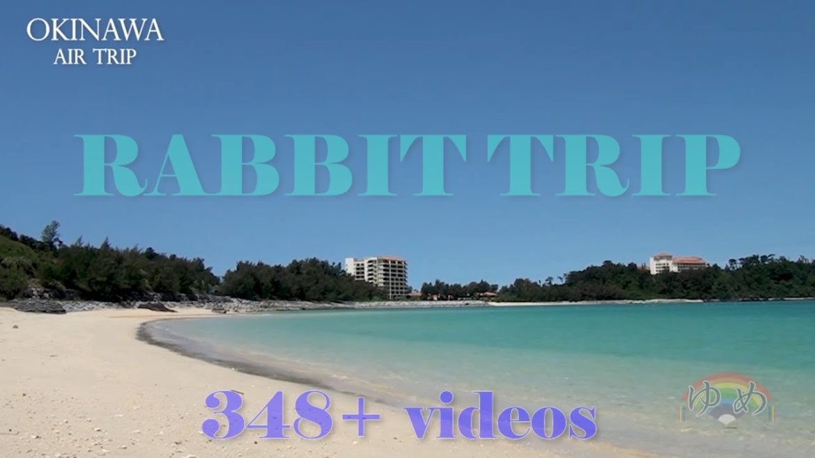 AIR TRIP OKINAWA RABBIT TRIP, DEMO. VIDEOⅡ
