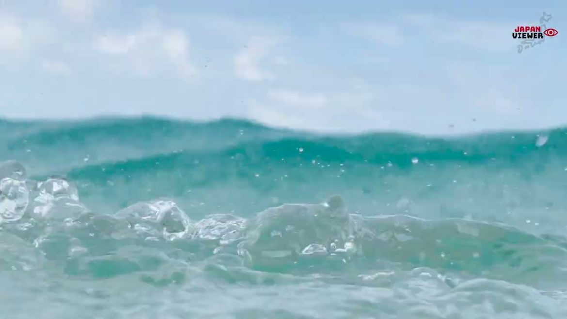 沖縄小浜 | 浜島 | 沖縄県八重山列島石垣島竹富町小浜 | 竹富町 沖繩県 石垣島 沖縄小浜 | 浜島 | 沖縄県八重山列島石垣島竹富町小浜 | 竹富町 沖繩県 石垣島