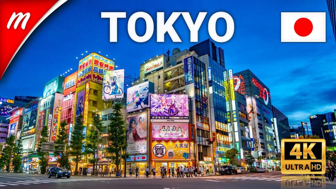 The Capital of Japanese Pop Culture, Akihabara | Tokyo Walking Tours