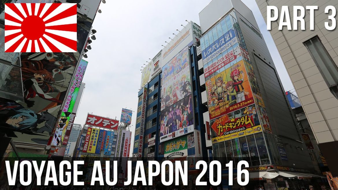 Voyage au japon 2016 part 3 (vlog en vrac)