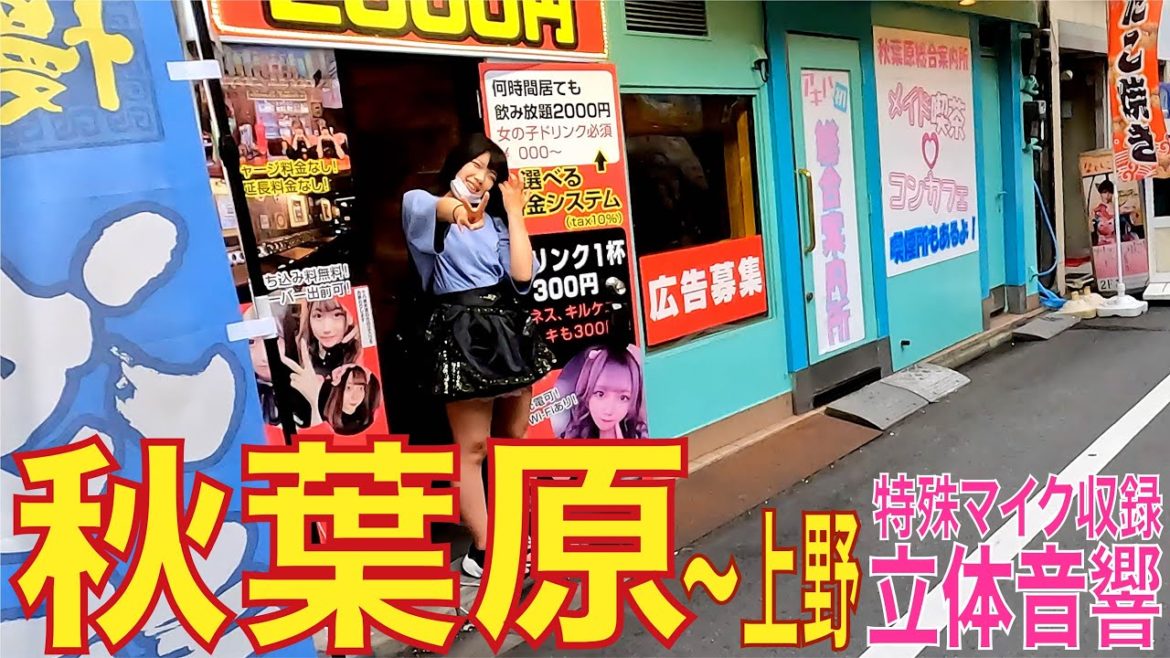 【4K/立体音響】秋葉原 電気街、平日の夕方。0805 akihabara walk