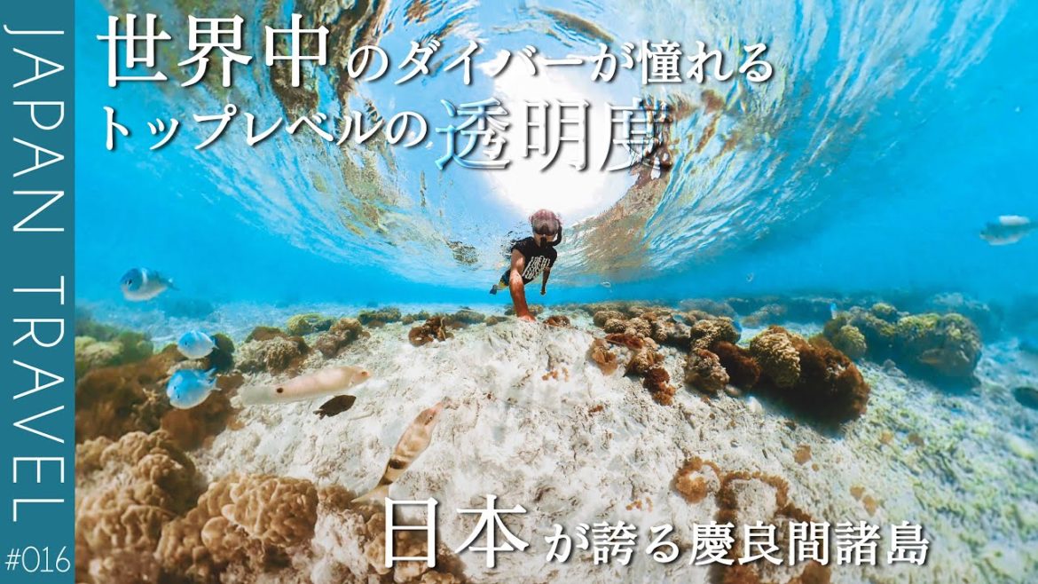 【沖縄で絶対に行きたい慶良間】那覇から50分で海中の楽園!? 【沖縄で絶対に行きたい慶良間】那覇から50分で海中の楽園!?