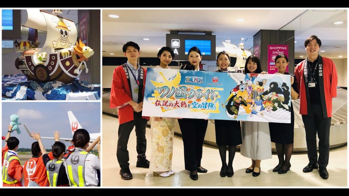 【JAL Group Spirit】"ONE PIECE" and JAL Collaboration! – Round-trip Charter Flight 【JAL Group Spirit】"ONE PIECE" and JAL Collaboration! – Round-trip Charter Flight