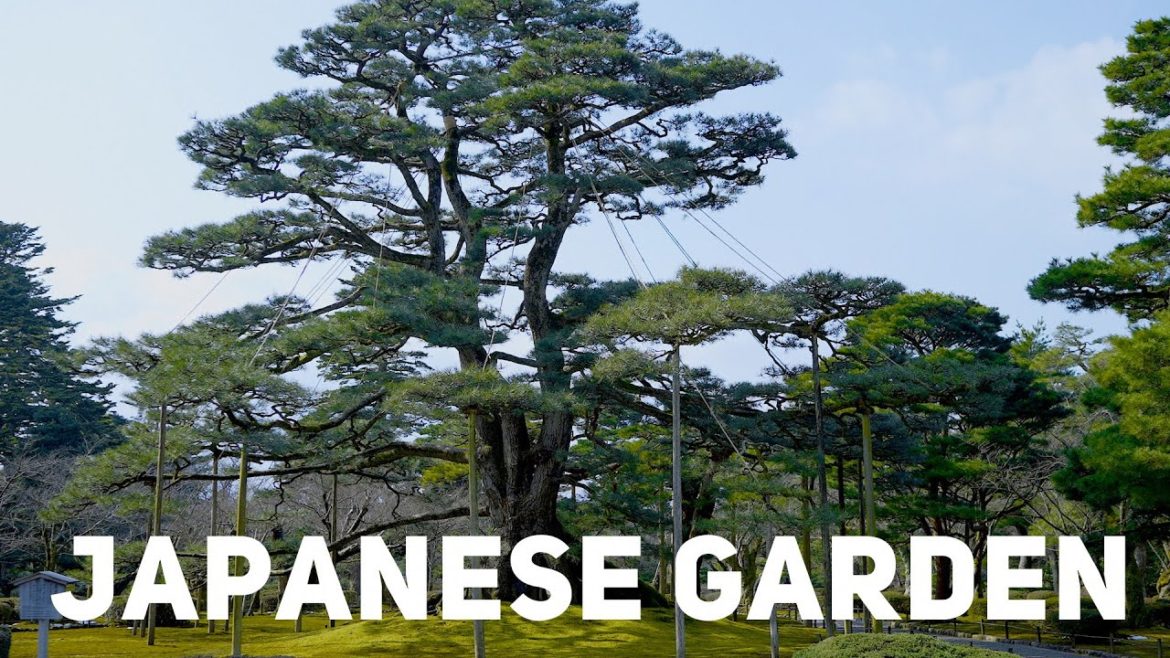 Japanese Garden
