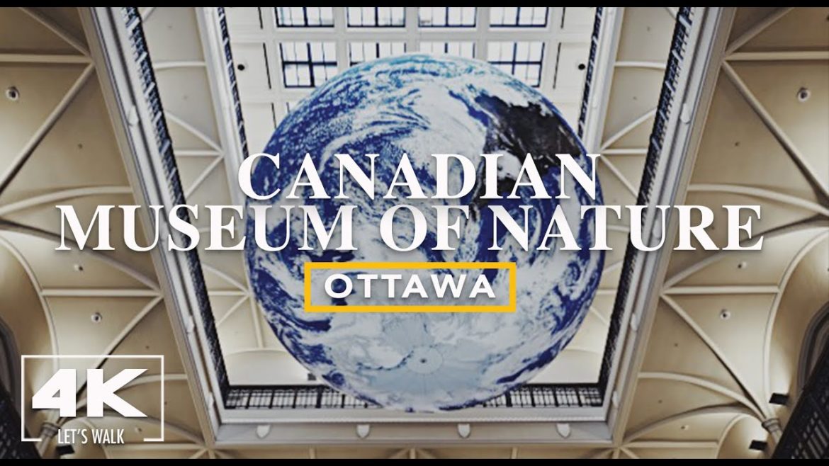 Canadian Museum of Nature2021 | Moon, and Gaia | 4K Ottawa Virtual Walking Tour | YOW Travel Guide Canadian Museum of Nature2021 | Moon, and Gaia | 4K Ottawa Virtual Walking Tour | YOW Travel Guide