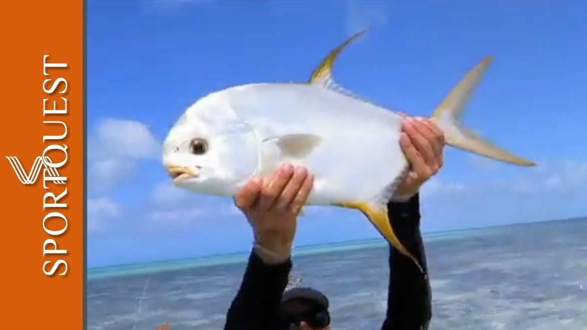 Fly Fishing for Permit – Tackling the waters of St Brandons Fly Fishing for Permit - Tackling the waters of St Brandons