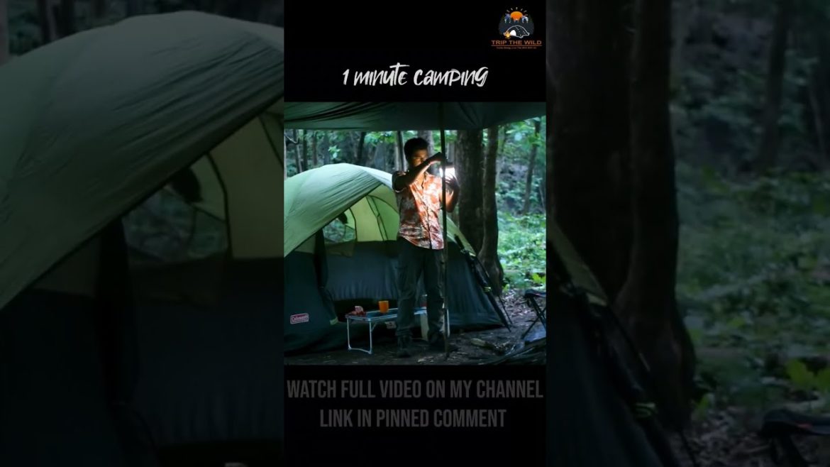 1 Minute Camping | Camping in India | Overnight Camping in mountains #camping #solocamping #hiking