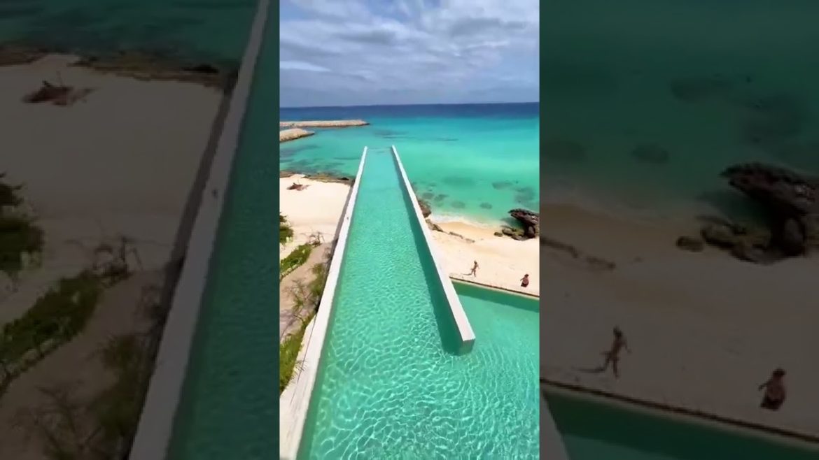 Pool & beach life in La Casa de la Playa, México | beautiful places in the world #Shorts Pool & beach life in La Casa de la Playa, México | beautiful places in the world #Shorts