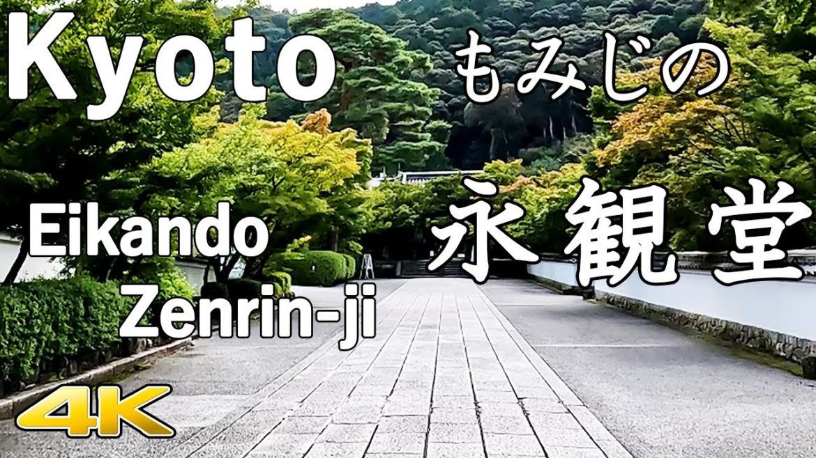 【4K】京都  もみじの永観堂　Eikando Maple Leaves in Kyoto
