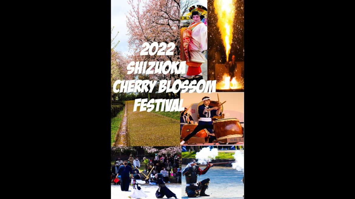 2022 Japan Cherry Blossom Festival | Shizuoka Matsuri Festival