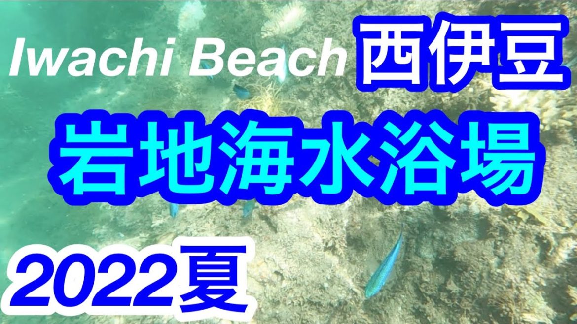 2022年夏！きれいな海！岩地海水浴場／Iwachi Beach/Shizuoka, Japan