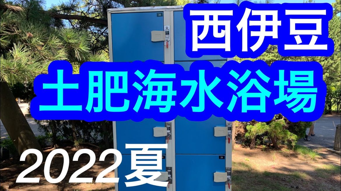 2022年夏！西伊豆/芝生の木陰が気持ちいい！土肥海水浴場/Toi Beach, Shizuoka, Japan