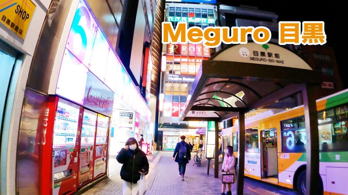 [4K] Meguro City(目黒区)| There are the luxurious residential areas of Hanabusayama and Chojamaru