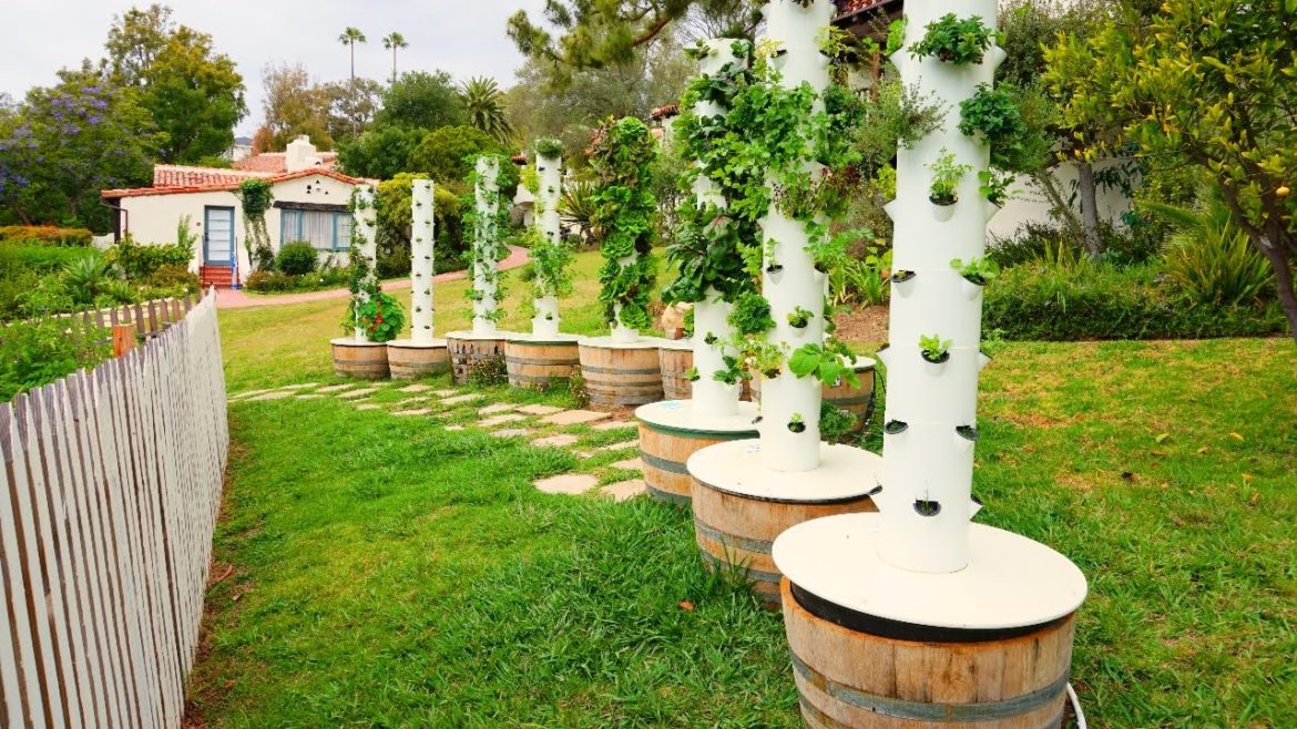 Belmond El Encanto Santa Barbara – Chef's garden tour in 4K Belmond El Encanto Santa Barbara - Chef's garden tour in 4K