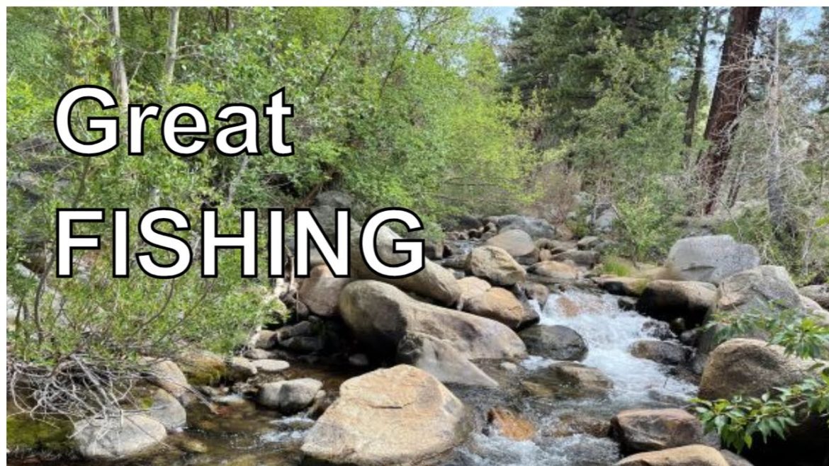 Fishing with the Family on Bishop Creek, California Fishing with the Family on Bishop Creek, California