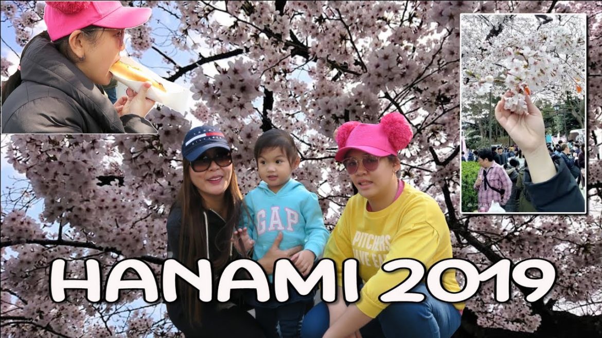 Hanami 2019: Cherry Blossom at Ueno Park Tokyo - VLOG 028