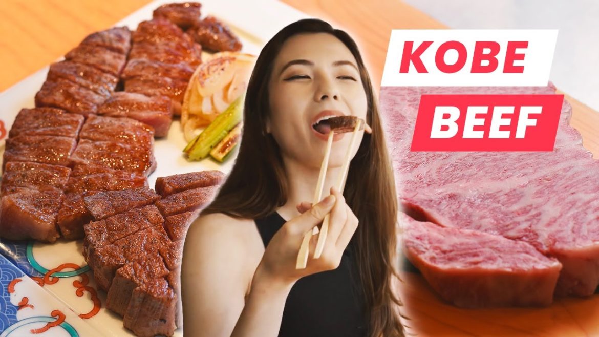 Kobe Beef: The Most Expensive Steaks in the World Kobe Beef: The Most Expensive Steaks in the World