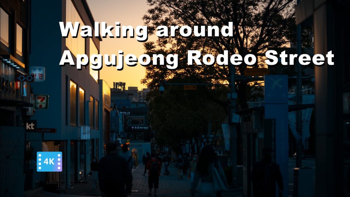 Korea Virtual Tour 2021 | Apgujeong Rodeo Street in Seoul gangnam gu | seoul virtual travel relaxing Korea Virtual Tour 2021 | Apgujeong Rodeo Street in Seoul gangnam gu | seoul virtual travel relaxing