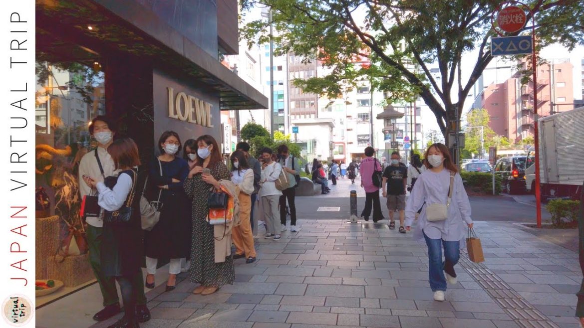 🇯🇵- Luxury shopping street - Tokyo virtual trip  (表参道&外苑前)[4K HDR 60fps]