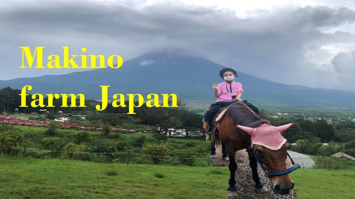 Makaino Farm _shizuoka /sinhala