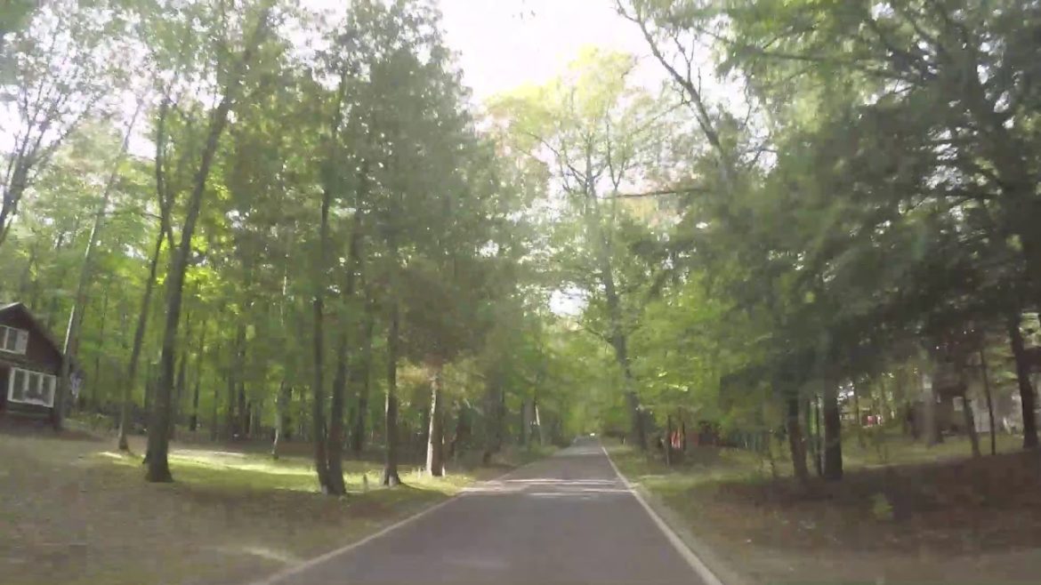 Michigan's Iconic Tunnel of Trees
