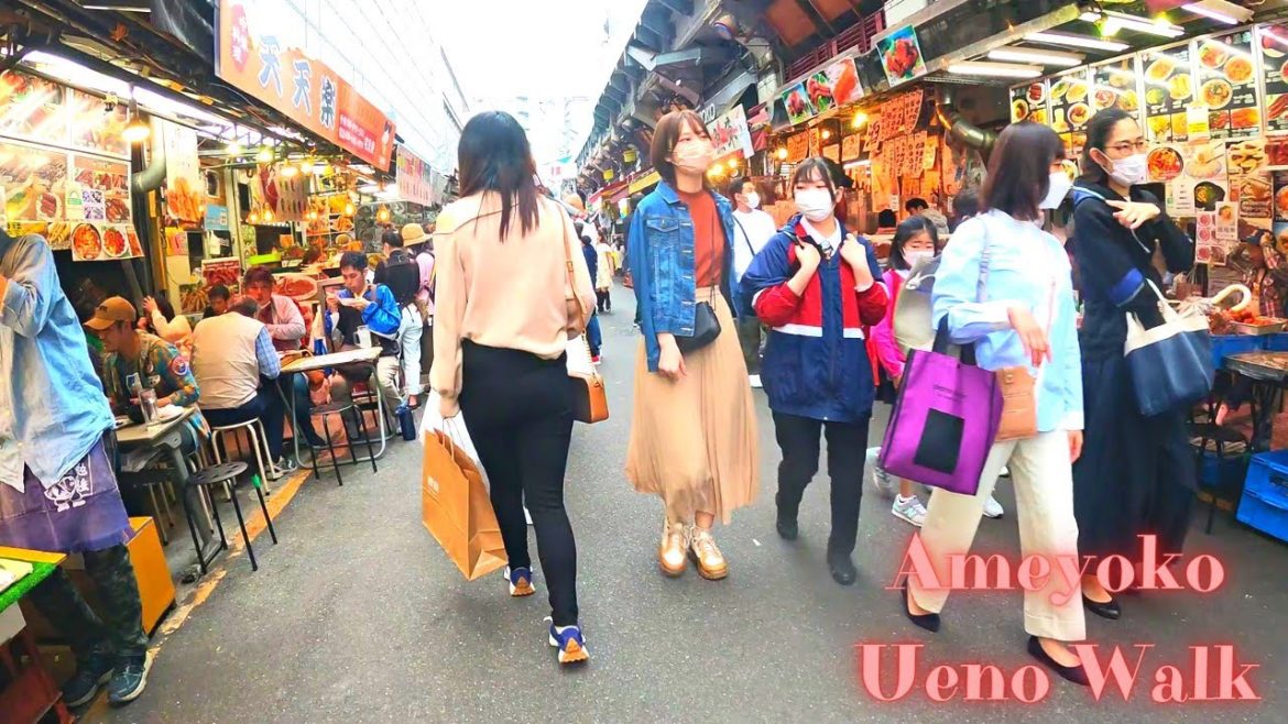 Pub Street Ameyoko UenoTokyo in Japan walking tour. 【4K ASMR 】5.2022 Pub Street Ameyoko UenoTokyo in Japan walking tour. 【4K ASMR 】5.2022