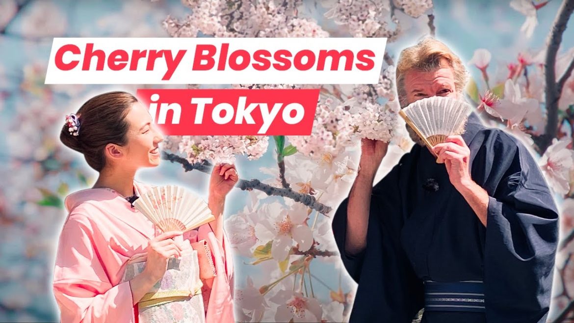 Sakura Season in Tokyo: Hanami at Happo-en Garden, an Oasis in the City Center