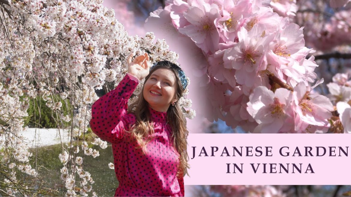 Setagaya Park | Japanese Garden in Vienna during Cherry Blossom Season | Vienna's best parks Setagaya Park | Japanese Garden in Vienna during Cherry Blossom Season | Vienna's best parks